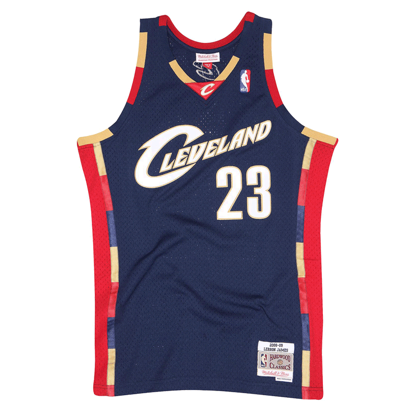 lebron swingman jersey