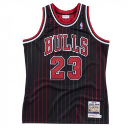 Michael Jordan 1995-96...