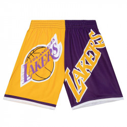 Short Los Angeles Lakers...