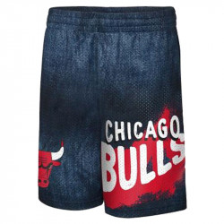 Short Chicago Bulls Heating...