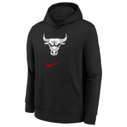 Hoodie Chicago Bulls Logo...