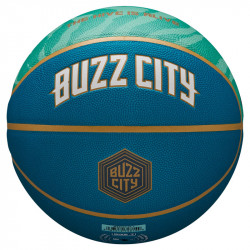 Pallone Charlotte Hornets...