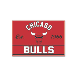 Chicago Bulls Metal Magnet