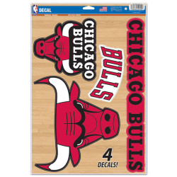 Chicago Bulls Multi-Use...