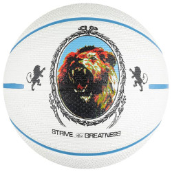 Pallone Lebron Playground...