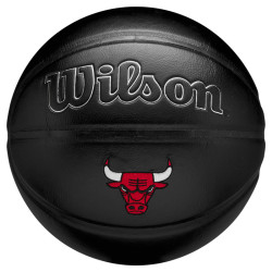 Pallone NBA Team Premiere...