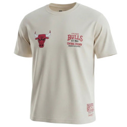 Tee Chicago Bulls Full...