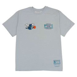 Tee Charlotte Hornets Full...