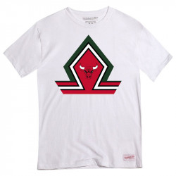 Tee Chicago Bulls Green House