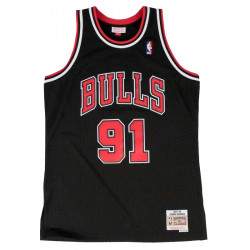 Dennis Rodman 1997-98...