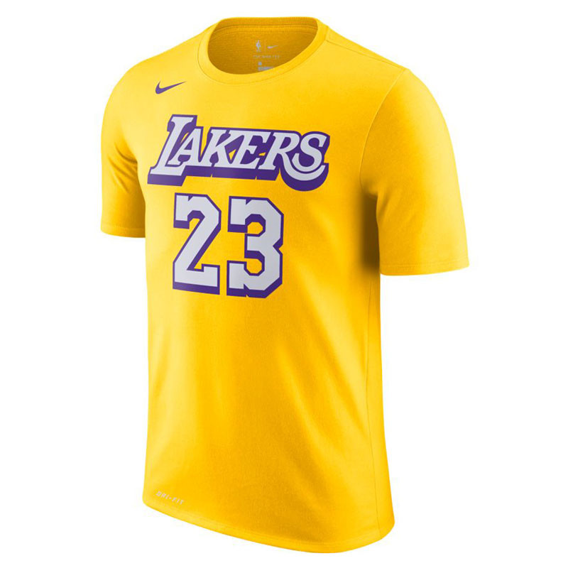 lebron james divisa